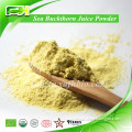 Best Price Natural Sea Buckthorn Juice Powder/Sea Buckthorn Powder